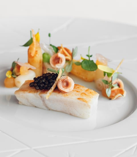 KISMV_CaDoro_Turbot_High Res_24821.jpg