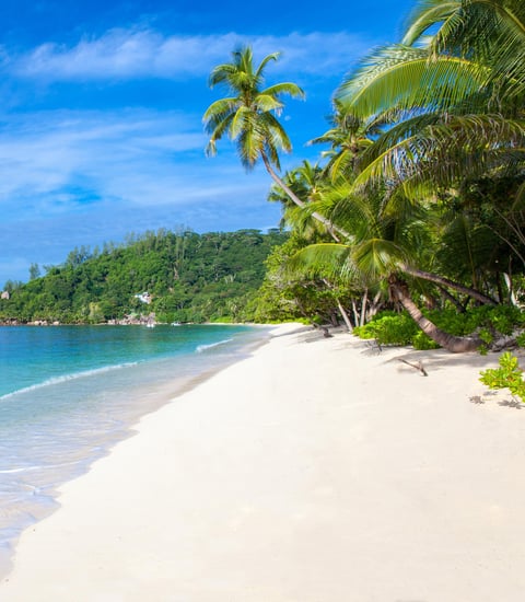 Kempinski Seychelles Resort Baie Lazare - Beach