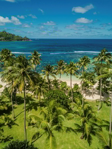 KiSEZ_Tropical Garden_High Res_4498.jpg