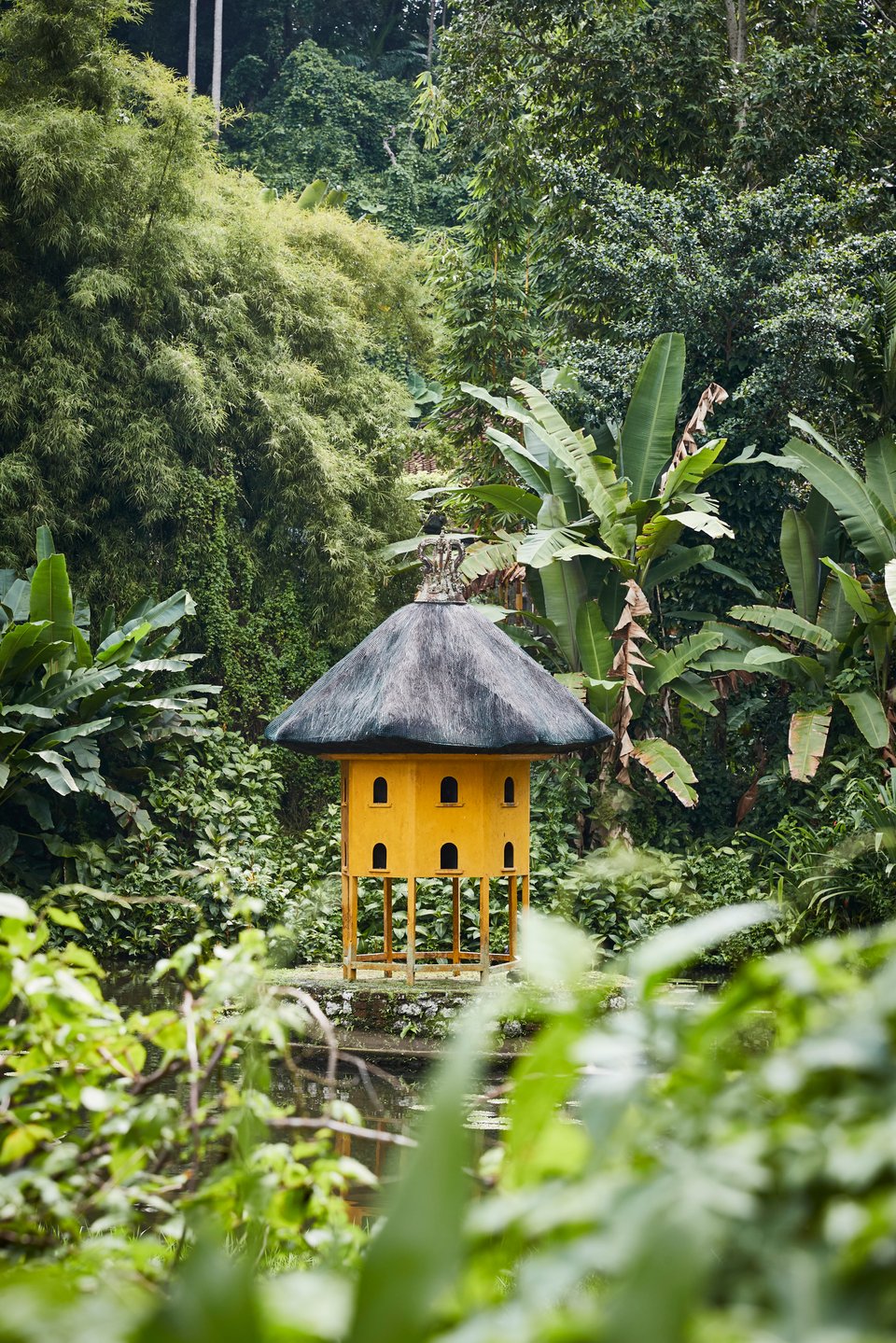 KIDPS1_Nature_High Res_9718.jpg